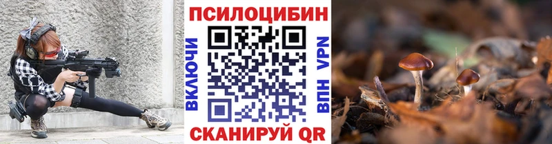 Псилоцибиновые грибы Psilocybe  Купить где  Усмань 